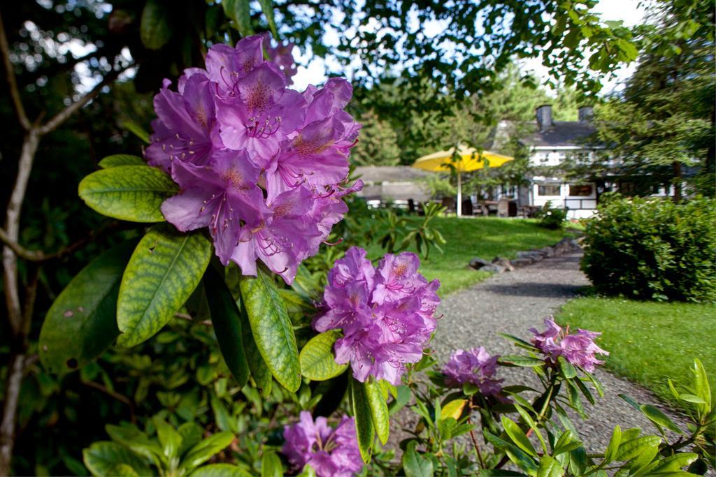 Romantik Hotel Stryckhaus Willingen  Εξωτερικό φωτογραφία